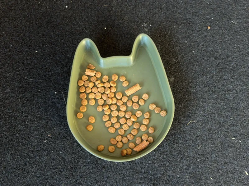 Katzen Fressnapf