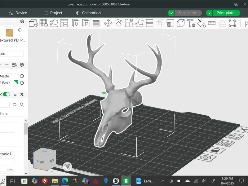 Deer Skull