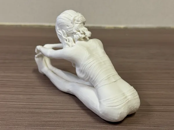 https://makerworld.bblmw.com/makerworld/model/DSM00000001672421/design/2025-08-05_98cc54577515a8.jpg