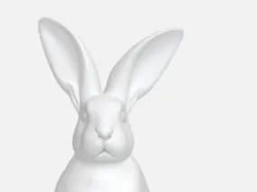 conejo