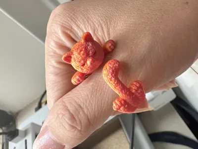 Kitten Ring