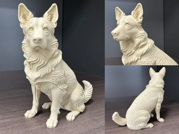 https://makerworld.bblmw.com/makerworld/model/DSM00000001674517/design/2025-08-06_cb56de98374c88.jpg