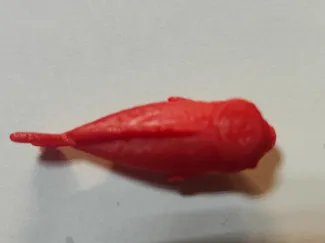 鸿运当头泡泡鱼