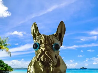 Chien porte stylos