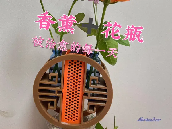 https://makerworld.bblmw.com/makerworld/model/DSM00000001675323/design/2025-08-06_c475b5bf216f1.jpg