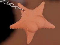 Étoile mème viral Estrella Culona — photo 1