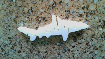 Flexi Print-In-Place Shark