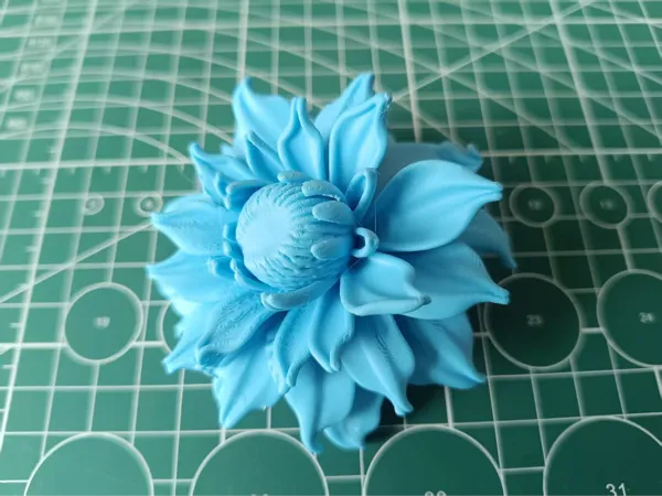 https://makerworld.bblmw.com/makerworld/model/DSM00000001677256/design/2025-08-07_ca4c09befa08b8.jpg