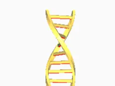 ADN O DNA