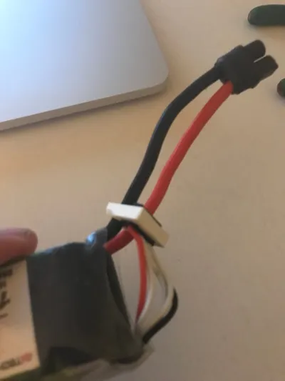 4S Balance Lead Protection Clip