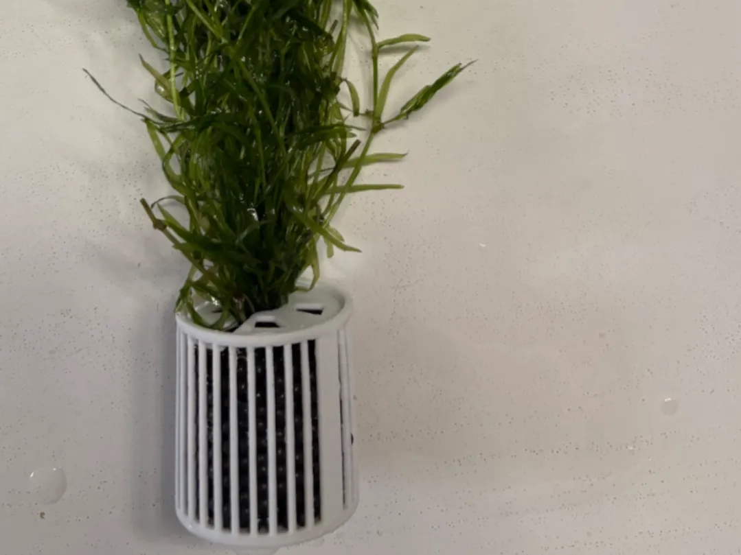 Panier de plantation pour aquarium