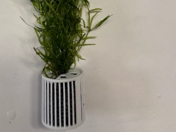 Panier de plantation pour aquarium