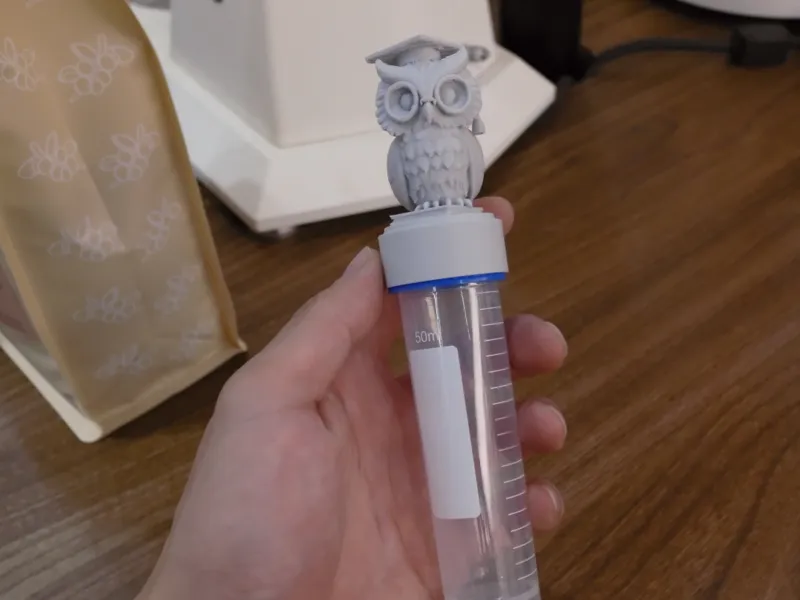 毕业生咖啡试管装饰猫头鹰