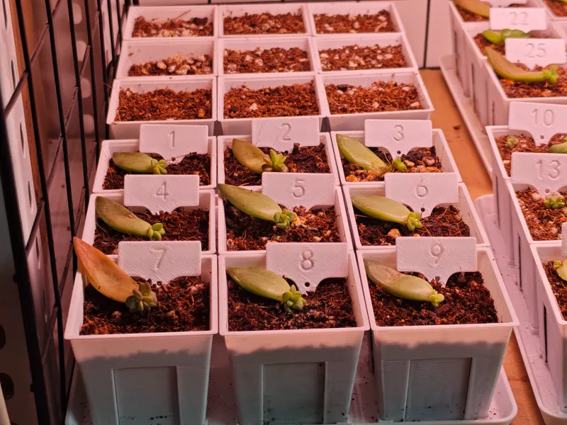 植物数字标签