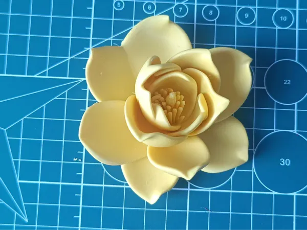 https://makerworld.bblmw.com/makerworld/model/DSM00000001680778/design/2025-08-08_8faec84d95ad28.jpg
