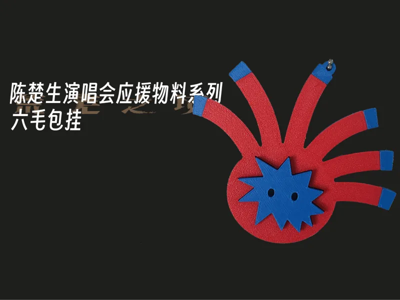 陈楚生应援之六毛包挂