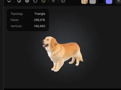 Dog