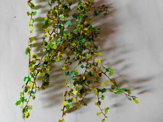 1:12 1:35  diorama ivy ,  模型场景用藤蔓