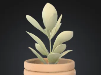 - aesthetic plant jar -