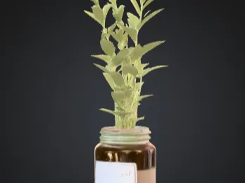 - aesthetic tall plant jar -