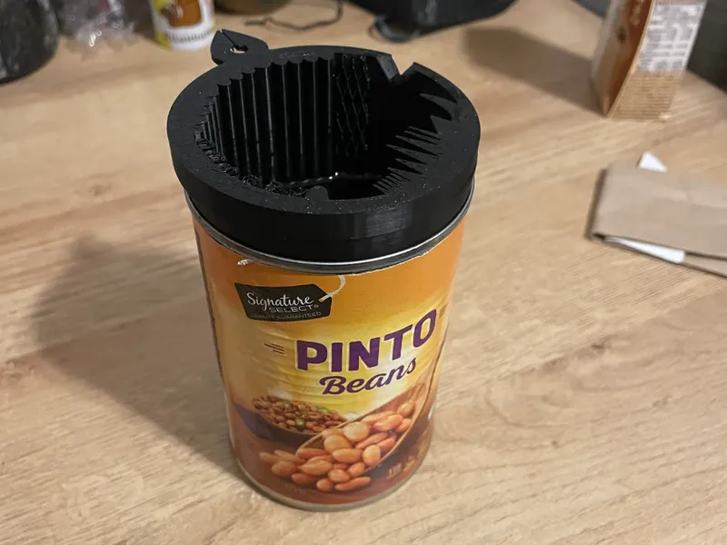 Brush-Light: Can Insert Brush Cleaning Tool 