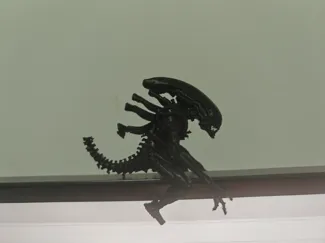 异形