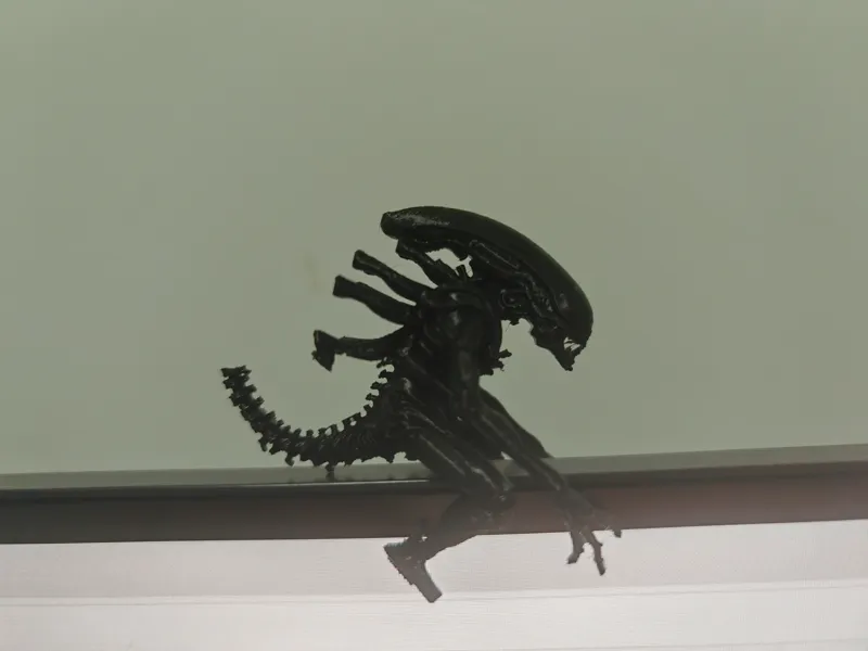 异形