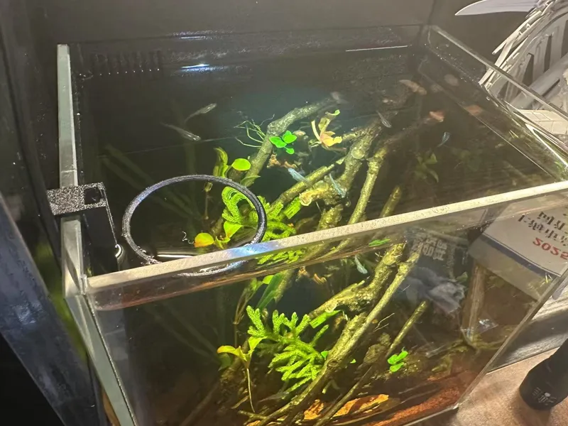 小型鱼缸喂食环5cm适合20缸