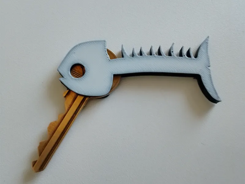 fish key holder /cover