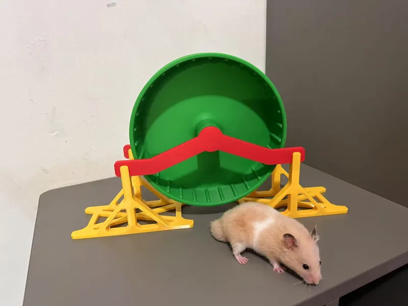 仓鼠轮