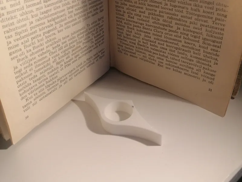 Page holder-for readers