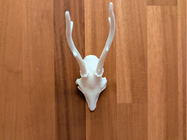 https://makerworld.bblmw.com/makerworld/model/DSM00000001691594/design/2025-08-11_03e0d77cde769.jpg
