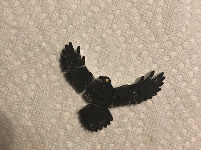 Midnight bird flexi