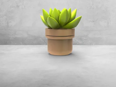 Succulent Planter Desktop Ornament