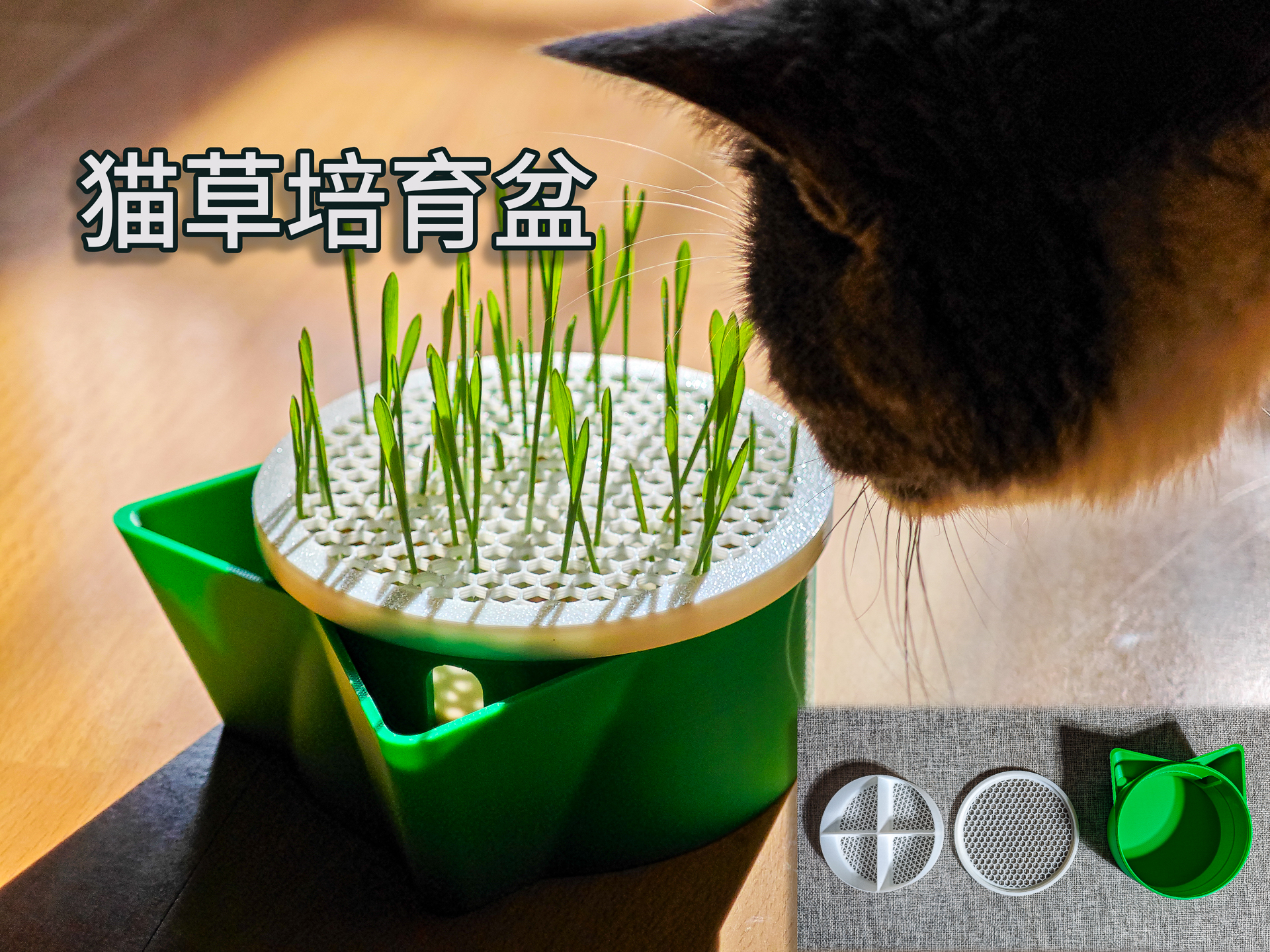 猫草培育盆丨分体设计方便清洗丨适合各机型打印
