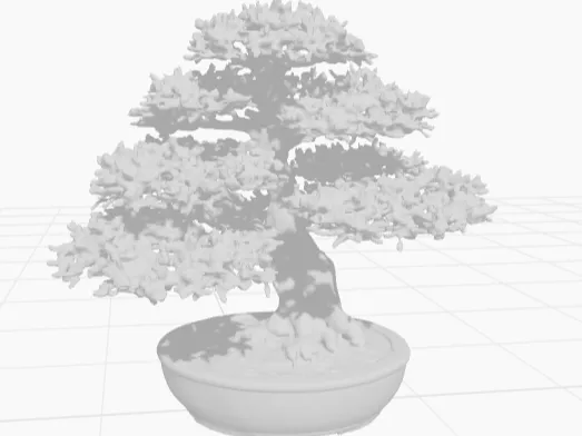 Bonsai tree