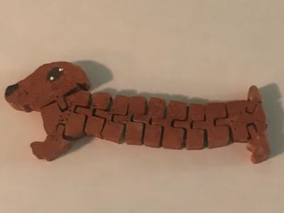 Flexi dachshund cute