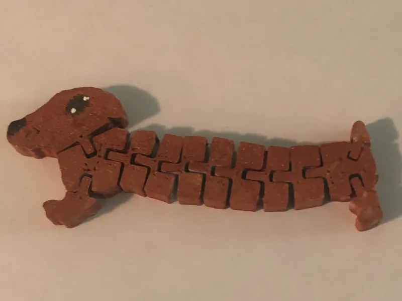 Flexi dachshund cute