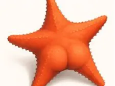 Booty Starfish
