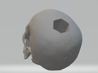 skull pen holder
