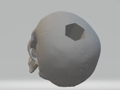 skull pen holder