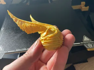 Goldener Schnatz Harry Potter