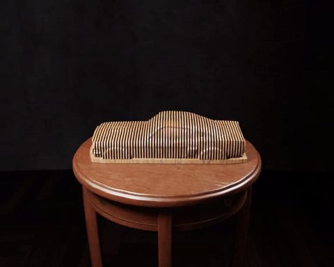 https://makerworld.bblmw.com/makerworld/model/DSM00000001696256/design/2025-09-25_cdf87ff0afef1.gif