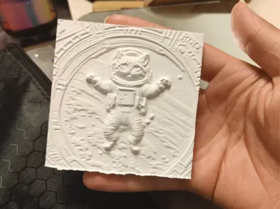 Spacesuit Cat
