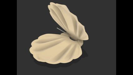 Seashell jewelry storage