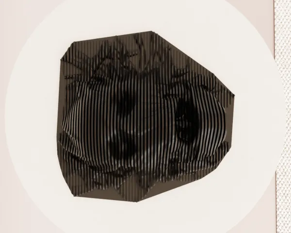 https://makerworld.bblmw.com/makerworld/model/DSM00000001698655/design/2025-08-14_mk8cnz8kk6y8.png