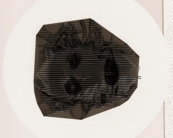 https://makerworld.bblmw.com/makerworld/model/DSM00000001698687/design/2025-08-14_fw94sf3177m7.png