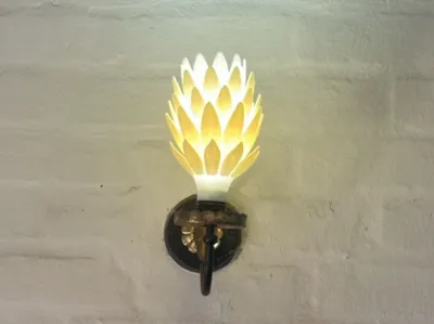 Protea Flower Lamp 