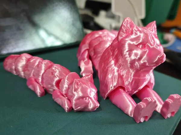 https://makerworld.bblmw.com/makerworld/model/DSM00000001701670/design/2025-03-21_afcb6d355e453.jpg