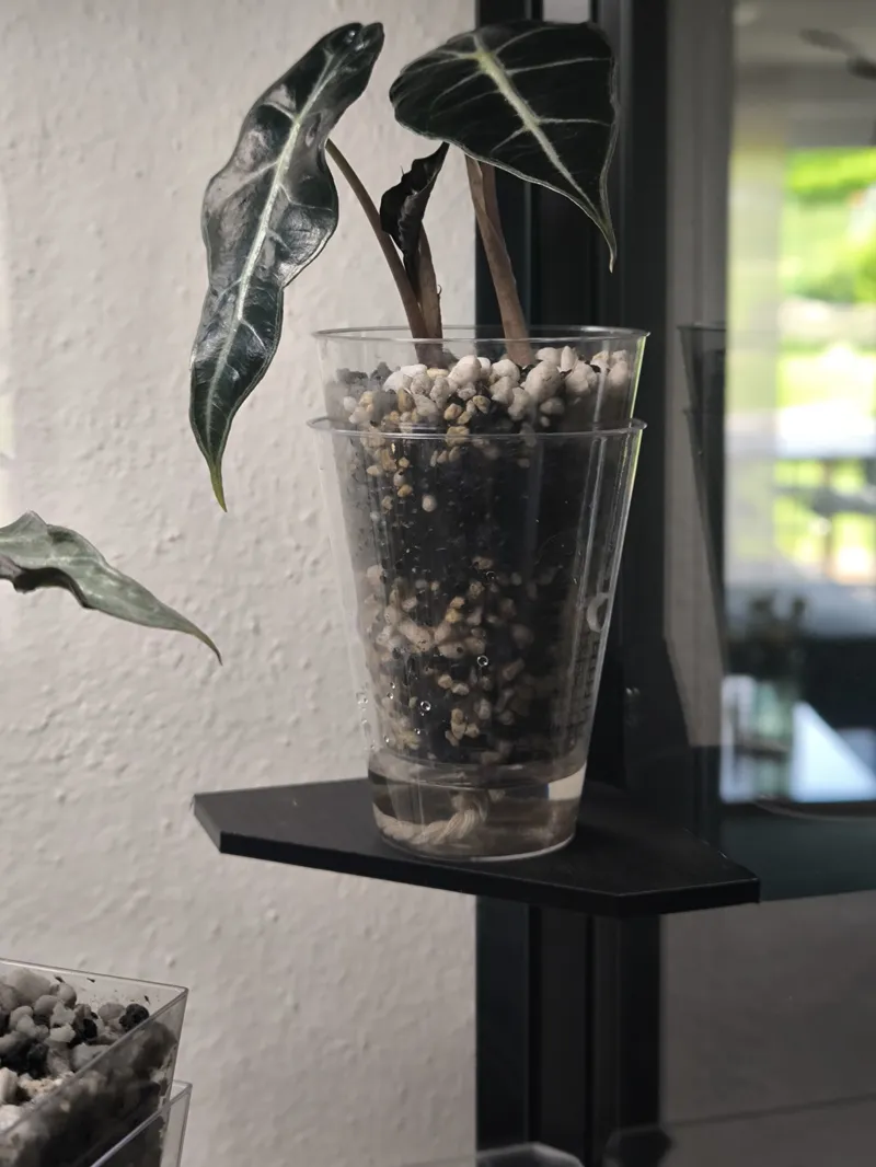 IKEA Milsbo Ablage